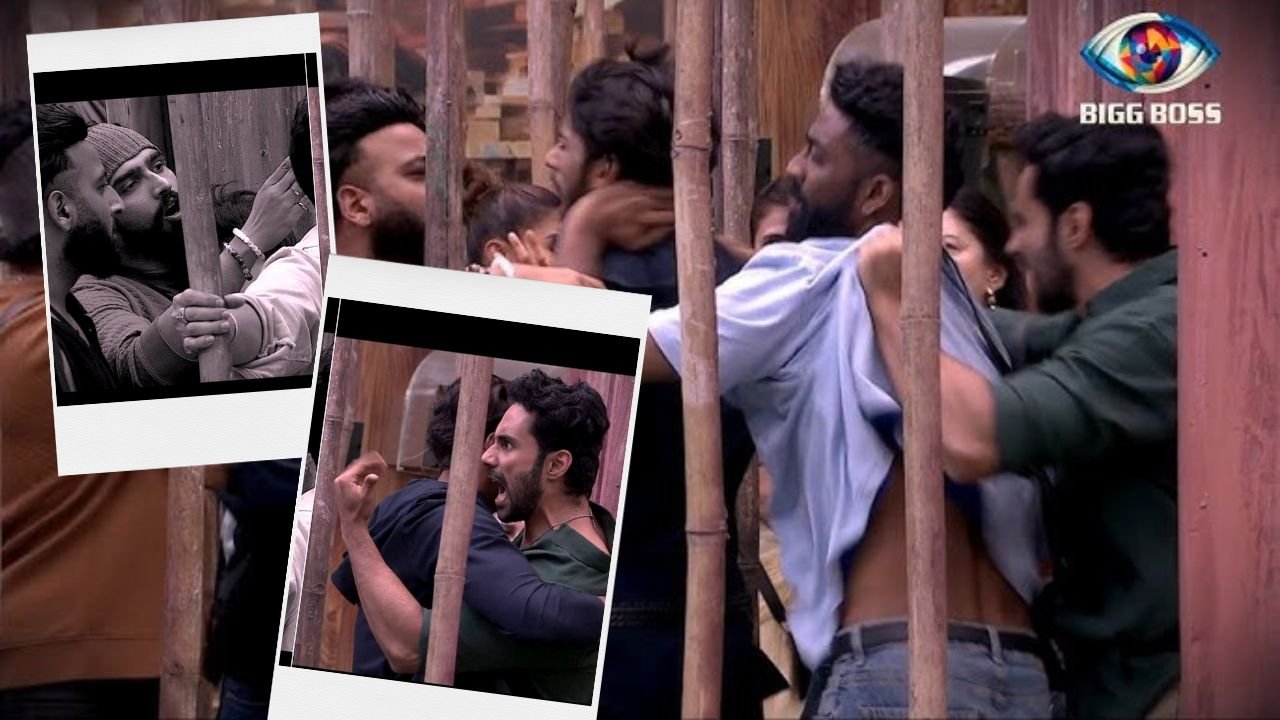 Bigg Boss 19 में अभिषेक और अमाल के बीच हाथापाई और धमकियों का ड्रामा, कैप्टेंसी टास्क रद्द हुआ