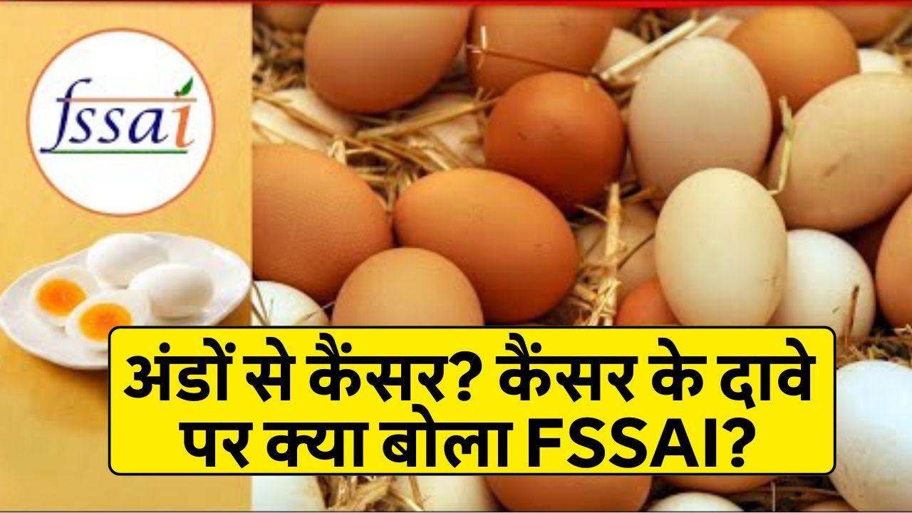 Health News अंडों से कैंसर कैंसर के दावे पर क्या बोला FSSAI