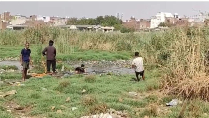 गाजियाबाद के डाबर तालाब में दर्दनाक हादसा गोताखोर भी डूबा मचा हड़कंप
